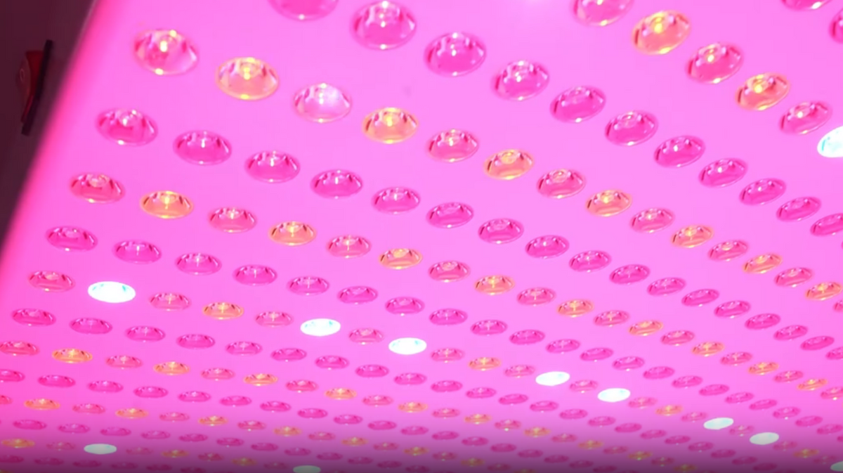 Prestige Pro Modular Red Light Therapy Bed LED array shown in close-up with red, yellow, and blue light emitters for 9-wavelength red and near-infrared light coverage.