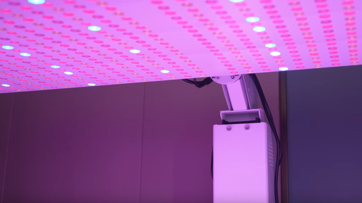 Prestige Pro Modular Red Light Therapy Bed upper panel LED array shown in close-up with red, blue, and yellow light emitters beneath the adjustable overhead panel.